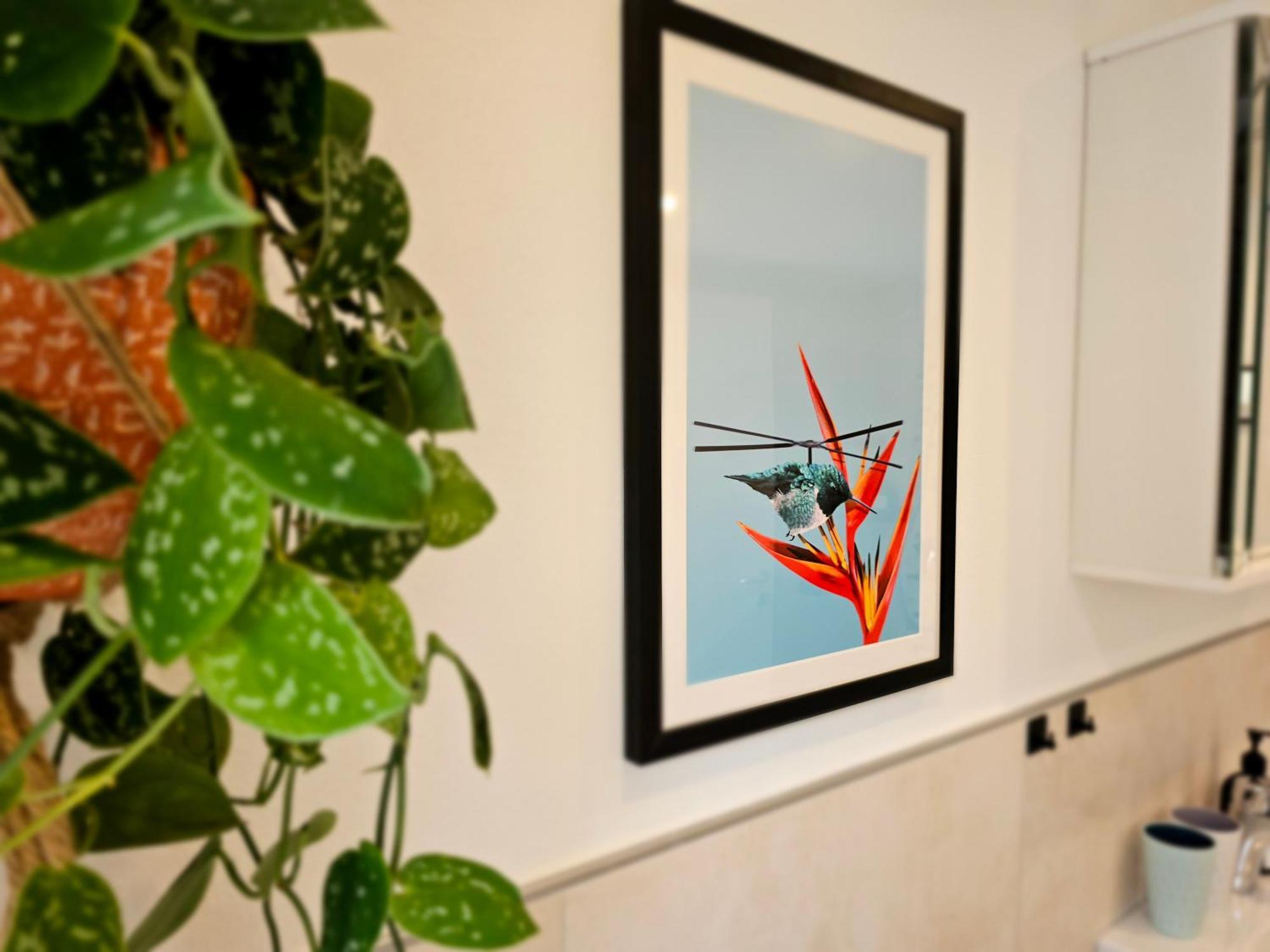Kolibri - Design Maisonette - Nintendo Switch, Streaming, Bikestore, E-wallbox Apartment