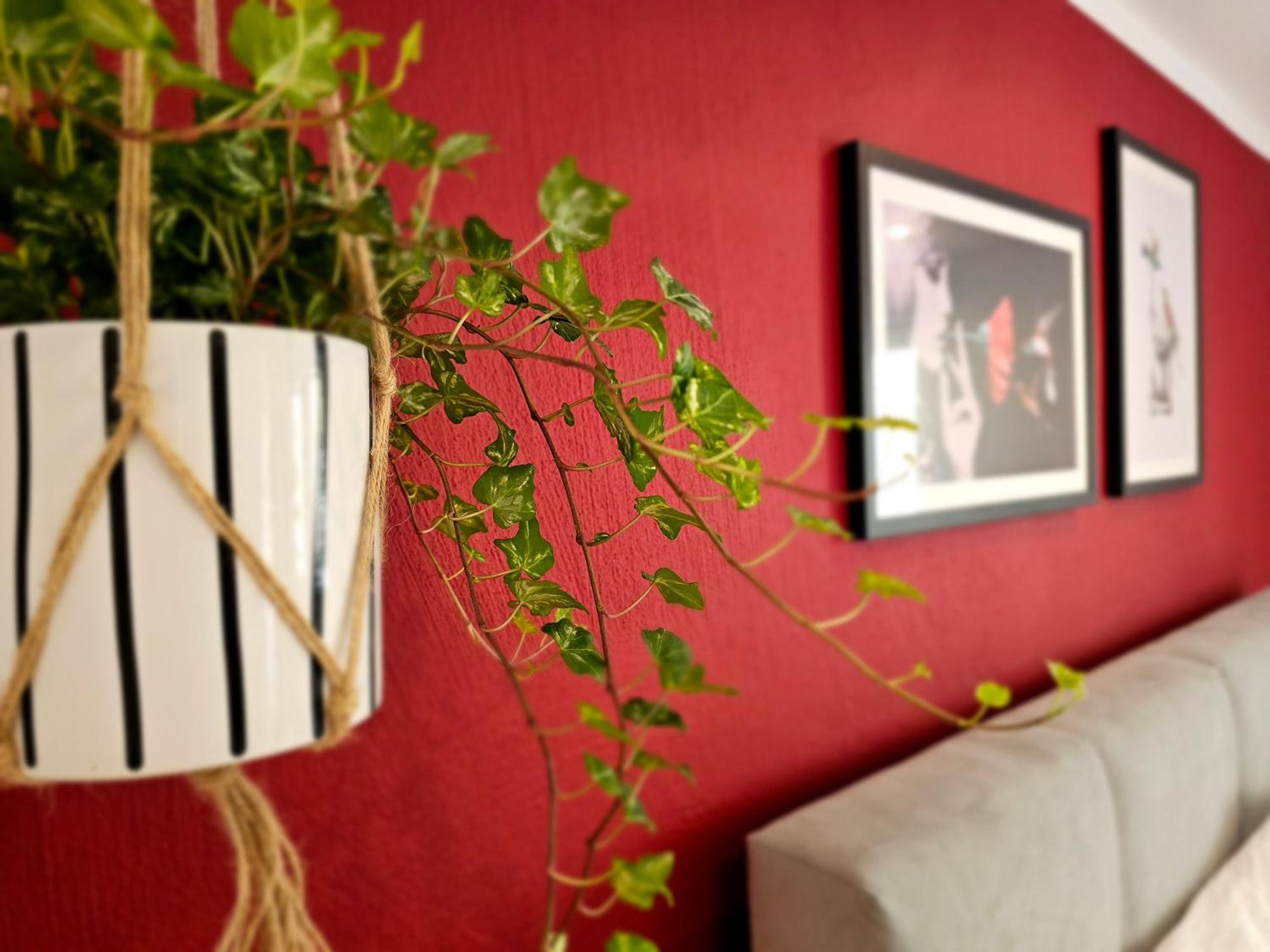 Kolibri - Design Maisonette - Nintendo Switch, Streaming, Bikestore, E-wallbox Apartment *