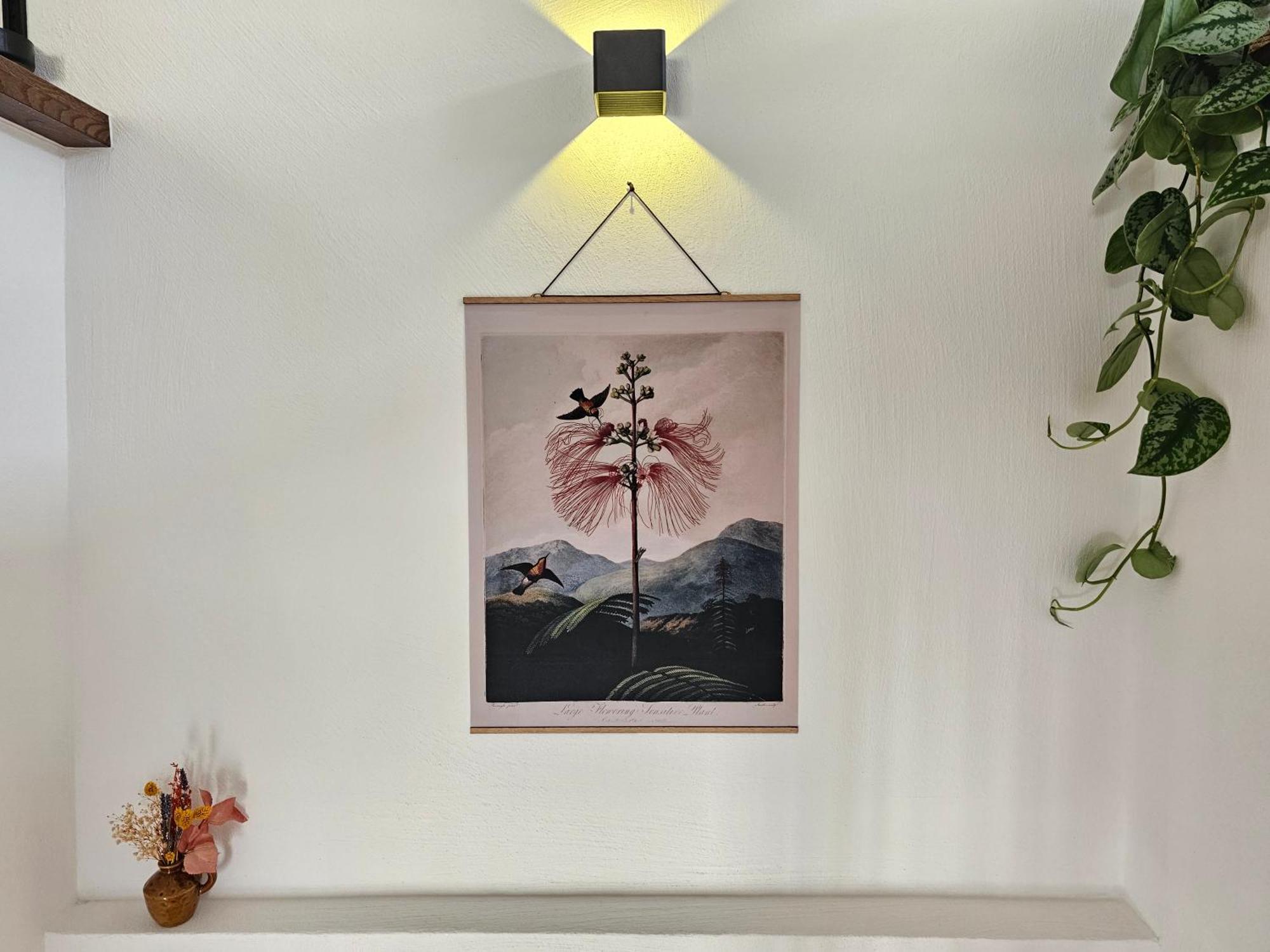 Kolibri - Design Maisonette - Nintendo Switch, Streaming, Bikestore, E-wallbox Apartment Marburg